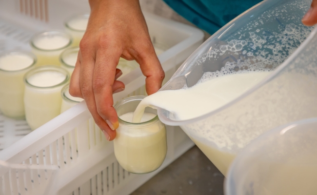 Maîtrise sanitaire des produits laitiers fermiers