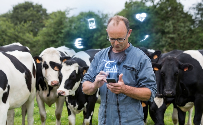 Le numérique pour piloter mon élevage laitier