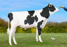 DOSE FERTIMAX ULYANA - FFR4401543572 - 66A3160