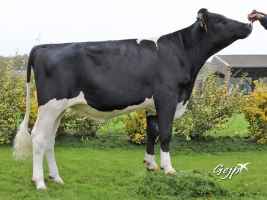 DOSE TAUREAU MELPHY - NFR4432722944 - 6690972