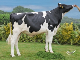 DOSE TAUREAU MILLER P - NFR4445551781 - 6691678