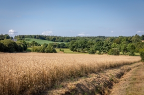 Améliorer la fertilisation azotée et réduire les fuites d'azote sur son exploitation : initiation (MAEC 23-27)