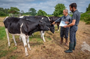 Renouvellement : venez construire votre stratégie gagnante !