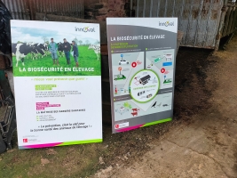 Assurer la biosécurité en élevage bovin