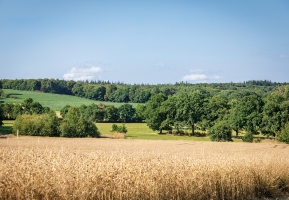 Audit et conseil mesures agro environnementales et climatiques