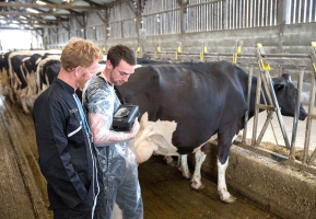 Contrat de confiance repro