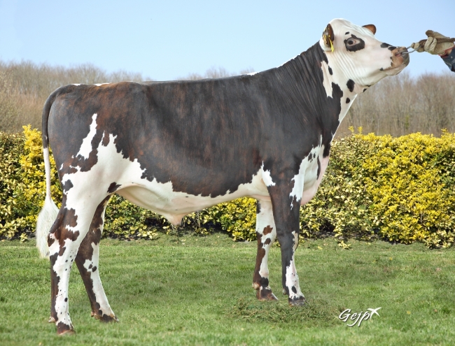 DOSE FERTIMAX UGUEL - FFR2238786594 - 56A1874