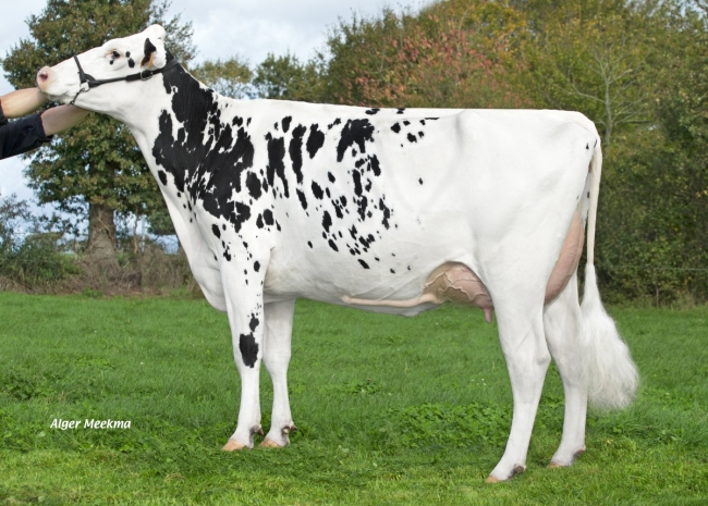DOSE TAUREAU PLESLIN P - NFR2258173979 - 6695394