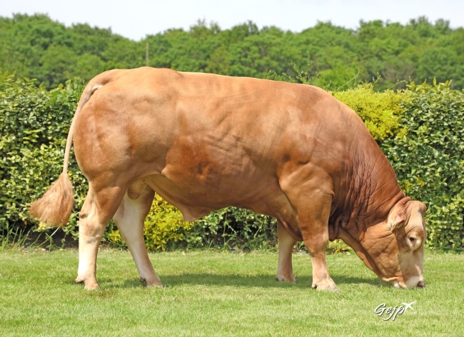 DOSE SEXE 2M 90 F SANOSO PP - XFR2320134955 - 34A0563