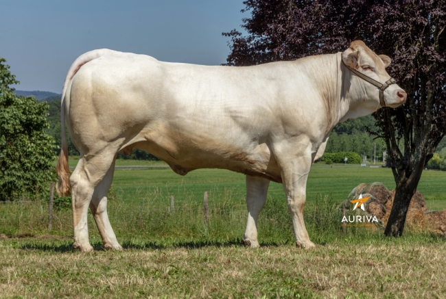 DOSE SEXE 4M 90 F PYHA - TFR3330237891 - 7996057