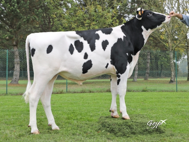 DOSE TAUREAU MONROC P - NFR4435729865 - 6691227