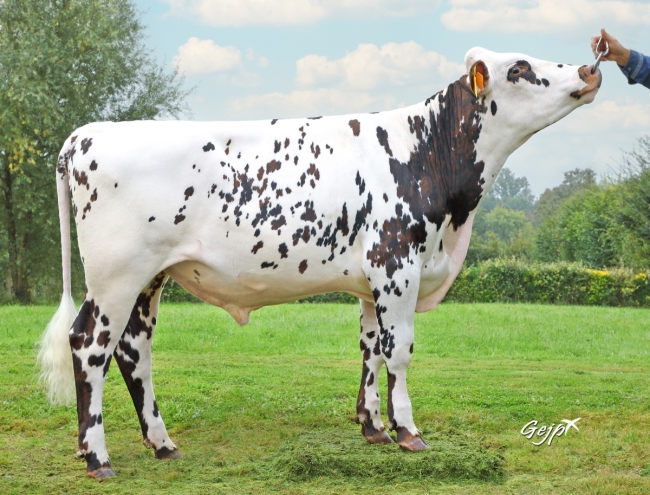 DOSE SEXE 2M 90 F UBAC - XFR4454468804 - 56A2743