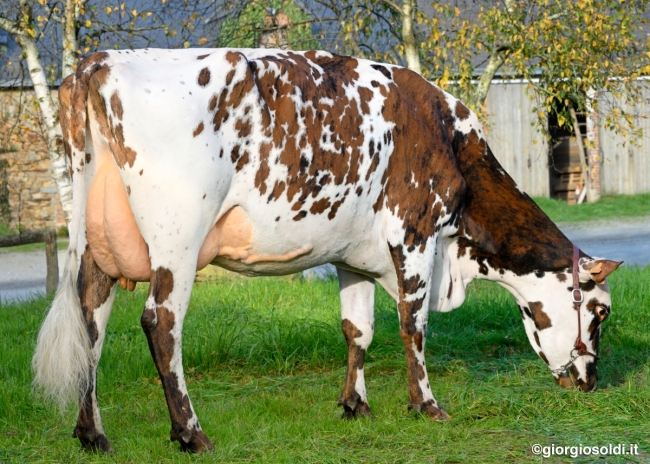 DOSE SEXE 2M 90 F UBAC - XFR4454468804 - 56A2743