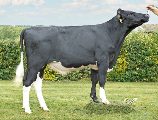 DOSE SEXE 2M 90 F UZEDA P - XFR4472336836 - 66A2413