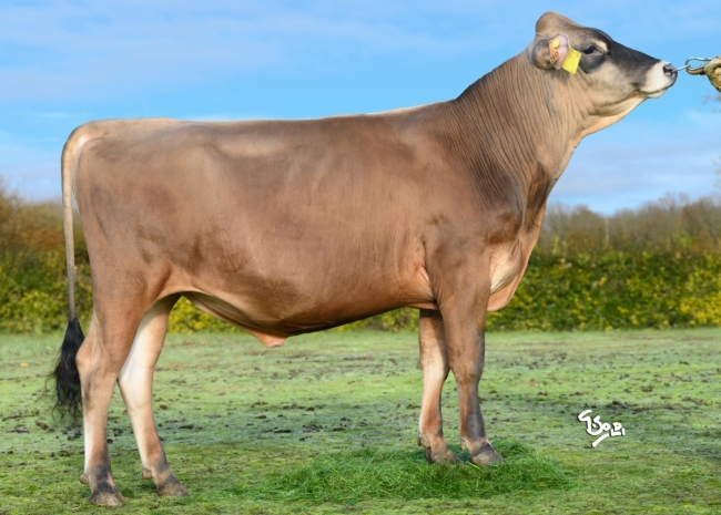 DOSE SEXE 2M 90 F VJ UALPES - XFR4942752917 - 15A2852