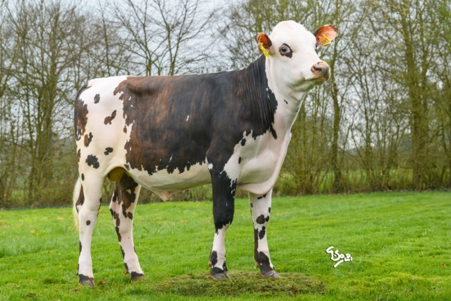 DOSE SEXE 2M 90 M VAINQUEUR - YFR5044745501 - 56A3393