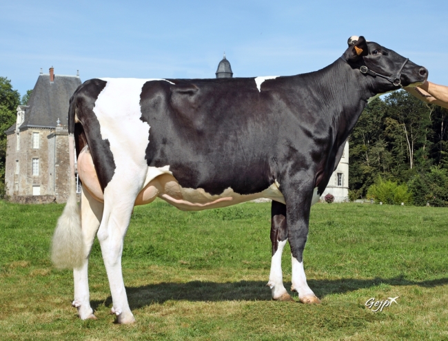 DOSE SEXE 2M 90 F VERBATIM - XFR5300175853 - 66A3555