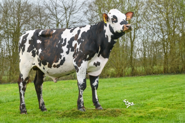 DOSE SEXE 2M 90 F VALENTINO - XFR5346437064 - 56A3175