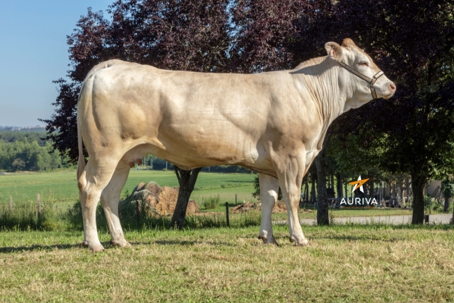 DOSE SEXE 4M 90 F PATUA - TFR6414989957 - 7996262