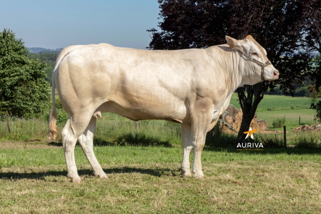 DOSE SEXE 4M 90 F PATUA - TFR6414989957 - 7996262