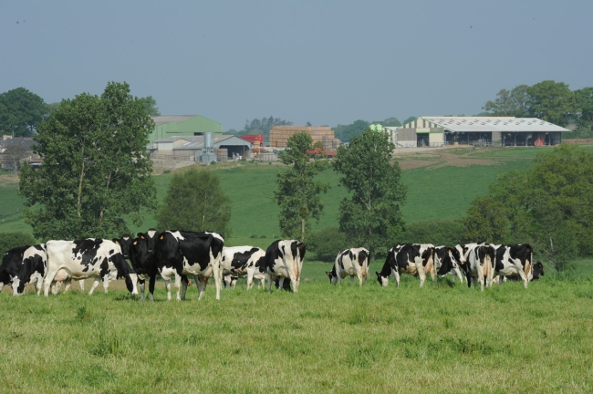 Action bassins versants