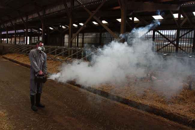 Conseil en confort et ambiance des bâtiments d'élevage bovins