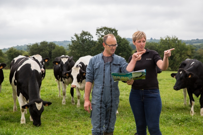 Conseil en renouvellement