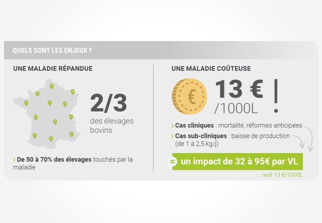 Les innovations génétiques : un indicateur de la résistance à la paratuberculose