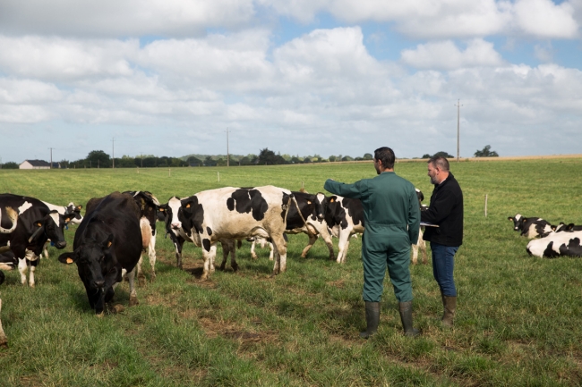 L'offre horizon génétique