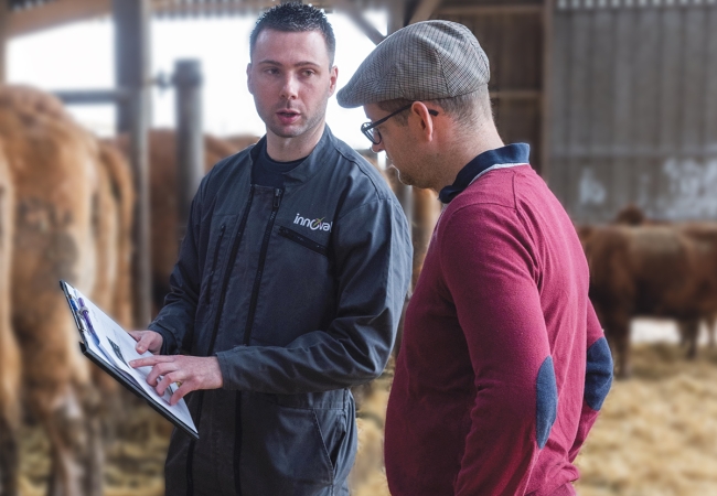 Consulting signes de vaches