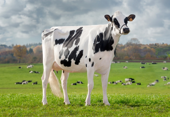 Nouveautés 2024 de la caisse complémentaire