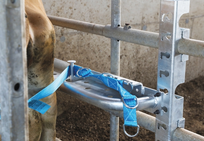 Les solutions contention : contention individuelle Säkerblock de Vital Concept