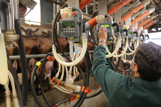 Le contrôle de performance lait caprin