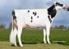 DOSE TAUREAU KEITH - NDE000359556232 - 6692829