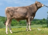 DOSE SEXE 2M 90 F ULTRATOP - XFR1223220030 - 21A2208