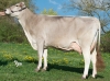 DOSE SEXE 2M 90 F ULTRATOP - XFR1223220030 - 21A2208