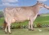 DOSE SEXE 2M 90 F ULTRATOP - XFR1223220030 - 21A2208