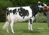 DOSE TAUREAU DIPRED ISY - NFR2211467455 - 6677179