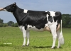 DOSE TAUREAU EARLY ISY - NFR2232273391 - 6678059