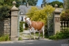 DOSE TAUREAU MANIZEL - NFR2238414538 - 5691344