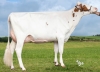 DOSE TAUREAU UNOX P - NFR2258174940 - 19A3156