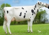 DOSE TAUREAU HURIEL - NFR2930983456 - 6684249