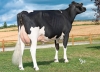 DOSE TAUREAU JEWALD - NFR2933592318 - 6688319