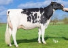 DOSE TAUREAU JEWALD - NFR2933592318 - 6688319