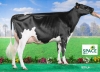 DOSE TAUREAU JEWALD - NFR2933592318 - 6688319