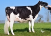 DOSE TAUREAU JEWALD - NFR2933592318 - 6688319