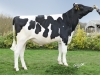 DOSE TAUREAU NEESKENS - NFR2940261837 - 6692888