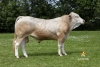 DOSE TAUREAU OREGON - NFR3218876142 - 7995050