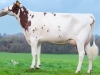 DOSE TAUREAU ROAZHON - NFR3528523385 - 1996800