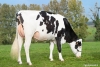 DOSE TAUREAU ROGLIC - NFR3536427870 - 6696802